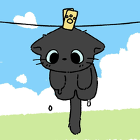 kmy